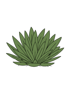 Protein Kokosbusserl | NÖM Protein Kokosbusserl | NÖM