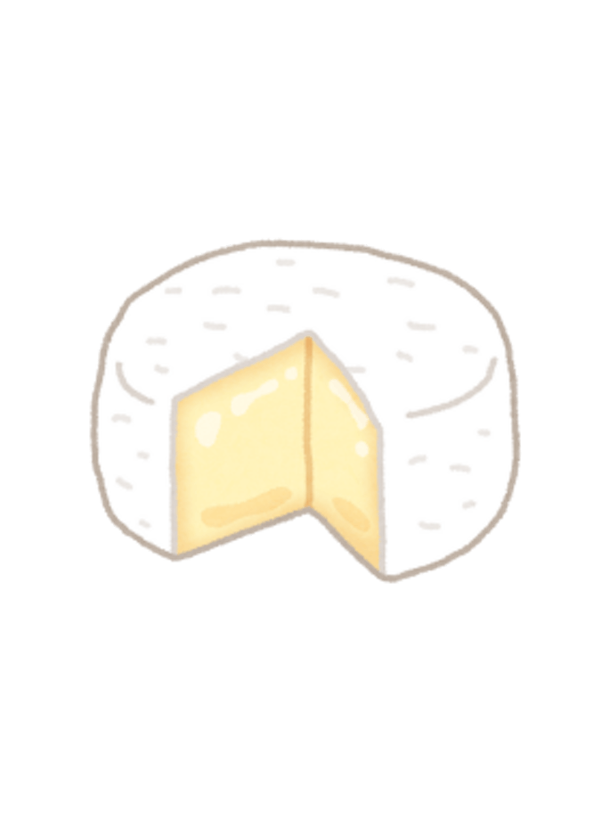 Camembert