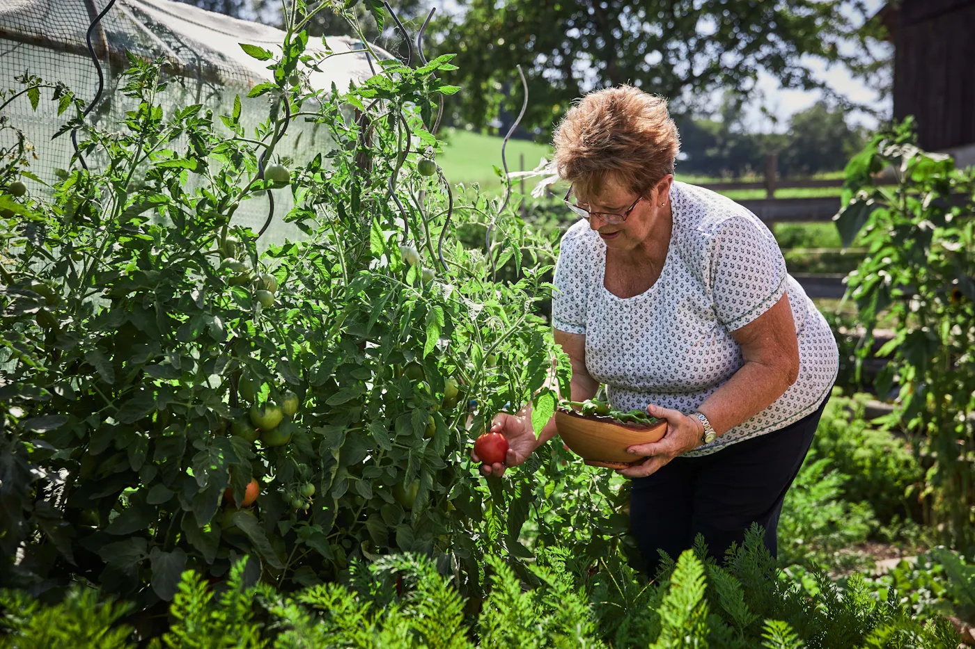 Gartenarbeit Eine Landwirtin bei der Gartenarbeit