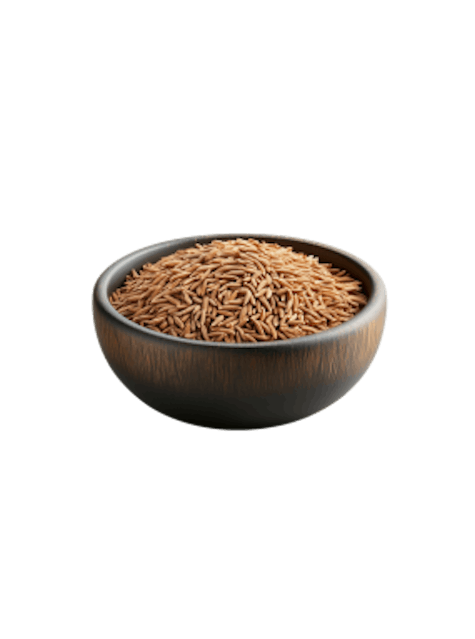 Kümmel