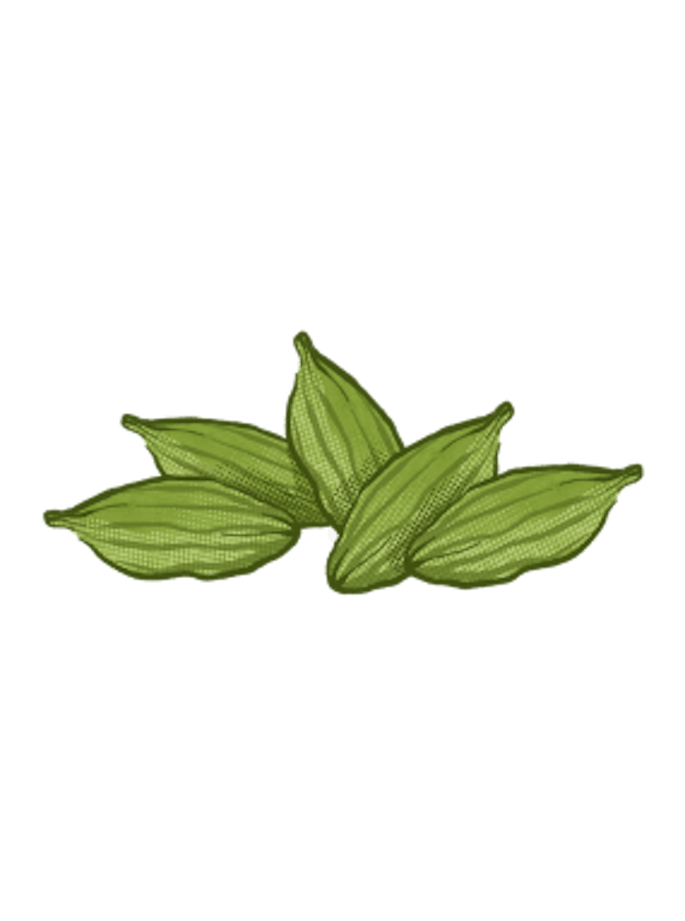 Kardamom