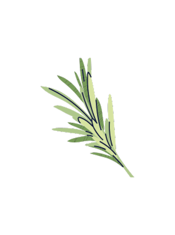Kräuter frisch