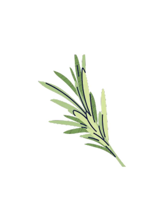 pikanter-topfenauflauf-n-m