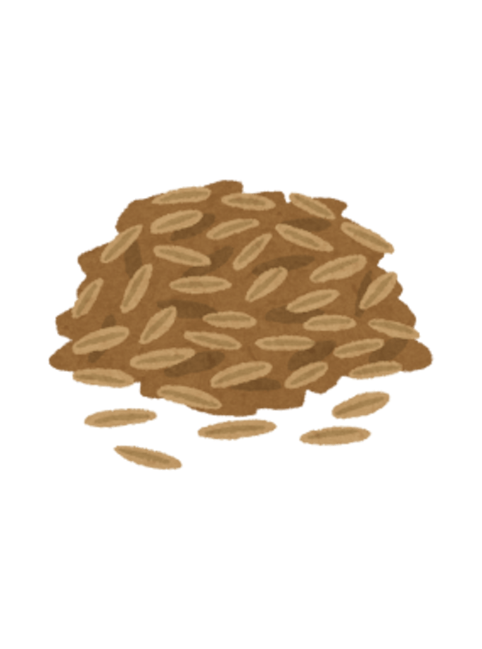 Leinsamen