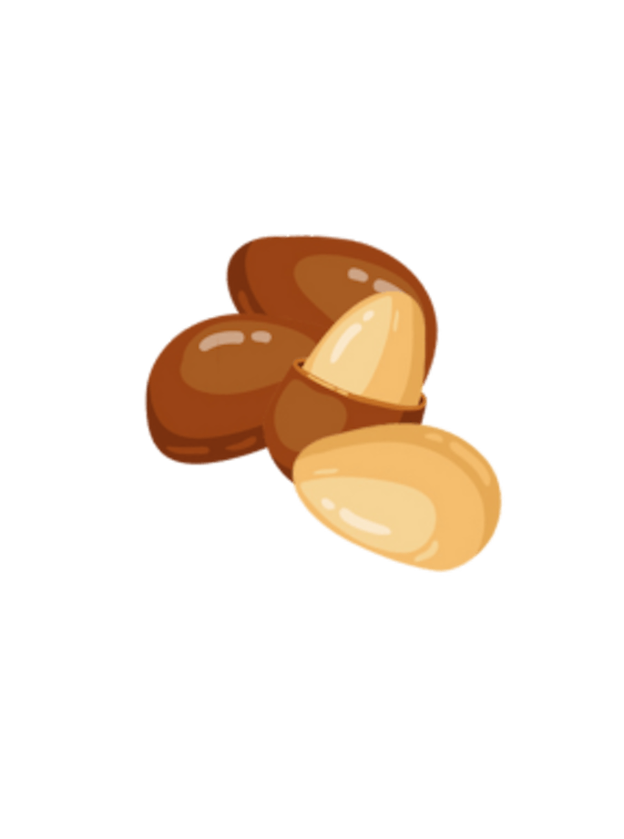 Macadamia