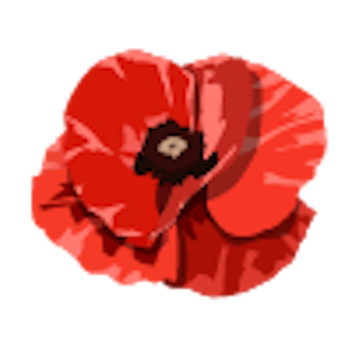 Mohn
