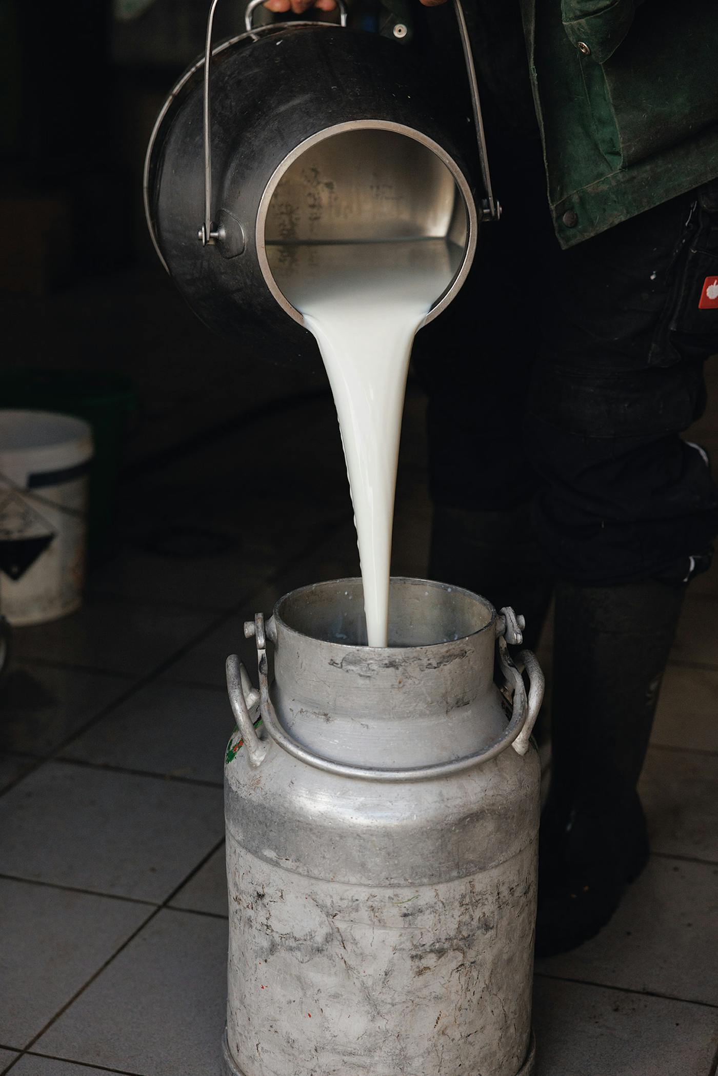 Eine rustikale Milchkanne, gefüllt mit frischer Milch direkt vom Bauernhof
