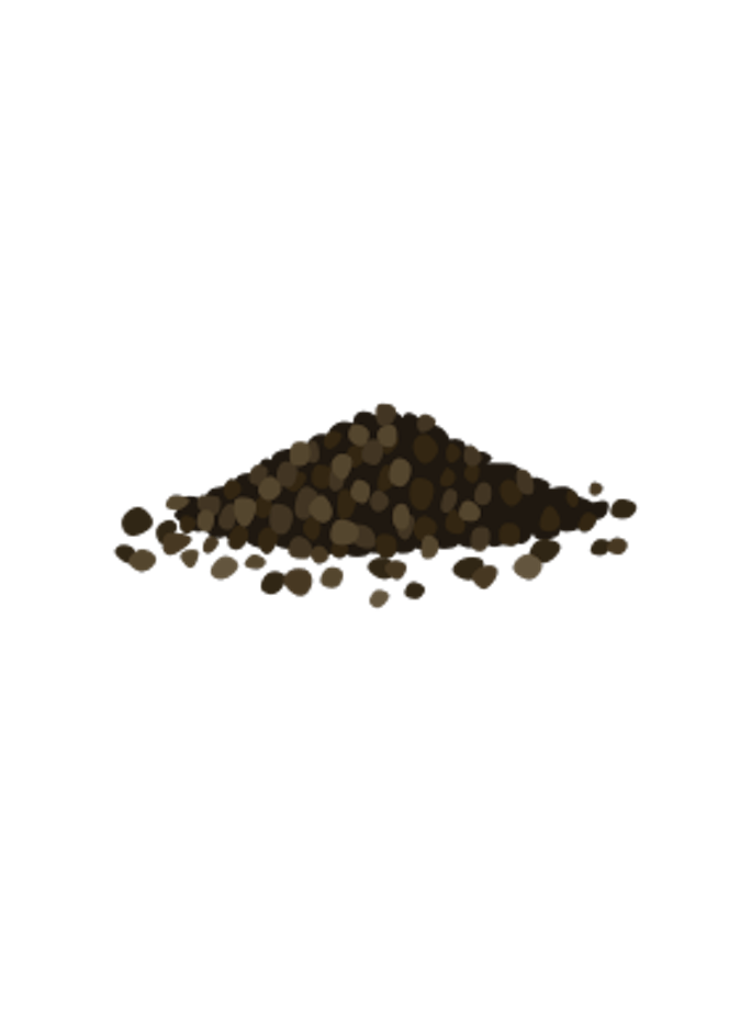 Pfeffer