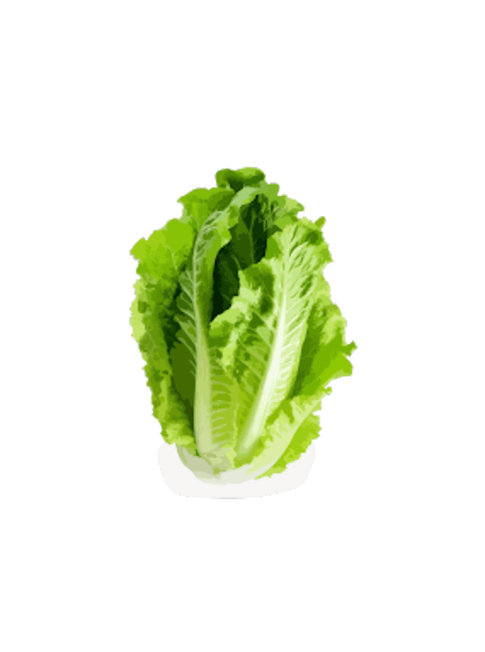 Salatherz