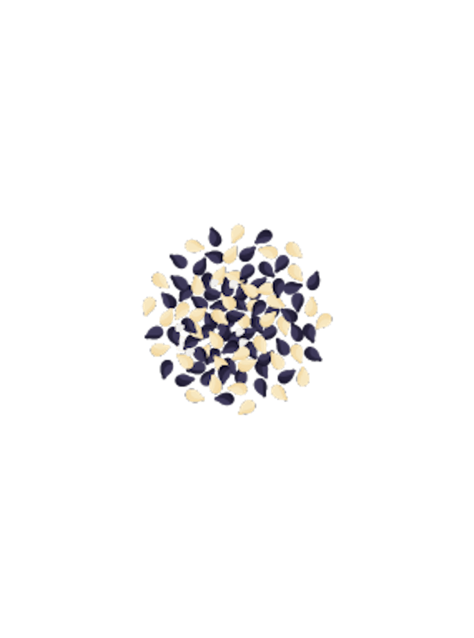 Sesam