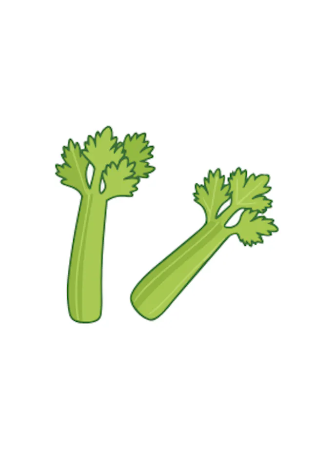 Illustration von Stangensellerie