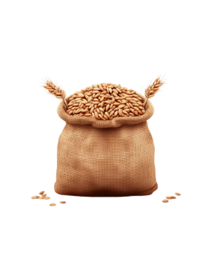 Vollkorn