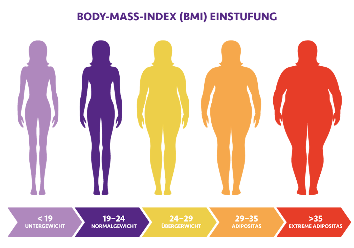 BodyMassIndex So berechnest du deinen persönlichen BMI NÖM NÖM