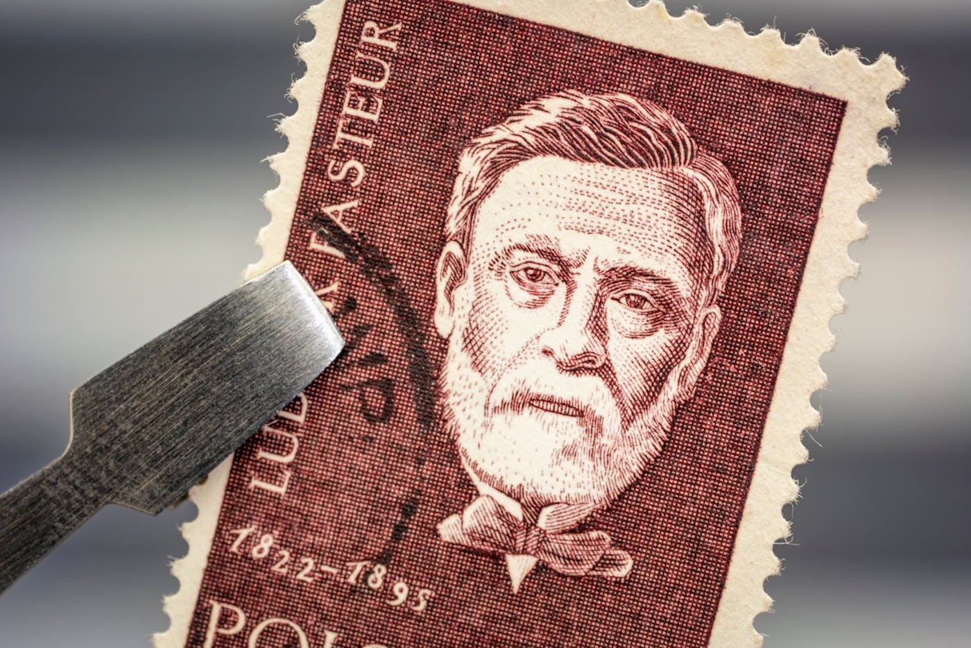 Briefmarke Louis Pasteur