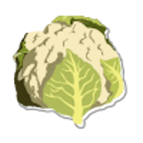 Illustration eines Karfiols